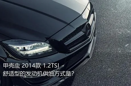 甲壳虫 2014款 1.2TSI 舒适型的发动机供油方式是？