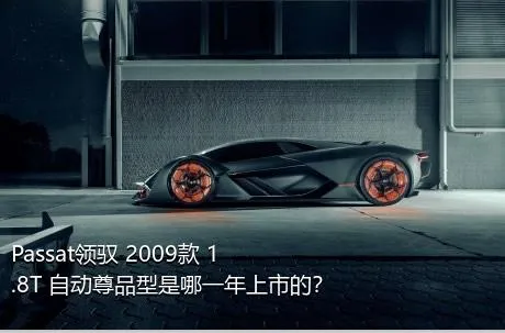 Passat领驭 2009款 1.8T 自动尊品型是哪一年上市的？