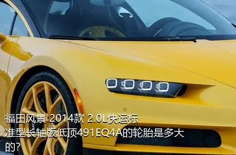 福田风景 2014款 2.0L快运标准型长轴版低顶491EQ4A的轮胎是多大的？