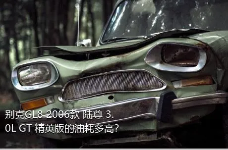 别克GL8 2006款 陆尊 3.0L GT 精英版的油耗多高？