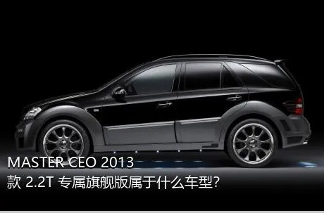 MASTER CEO 2013款 2.2T 专属旗舰版属于什么车型？