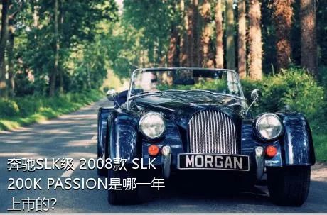 奔驰SLK级 2008款 SLK 200K PASSION是哪一年上市的？