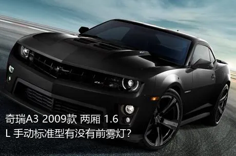 奇瑞A3 2009款 两厢 1.6L 手动标准型有没有前雾灯？