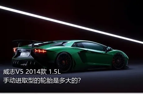 威志V5 2014款 1.5L 手动进取型的轮胎是多大的？