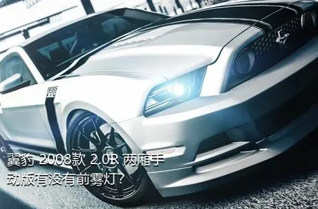 翼豹 2008款 2.0R 两厢手动版有没有前雾灯？