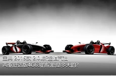 宝典 2015款 2.0L新超值汽油两驱舒适版4G63的轮胎是多大的？