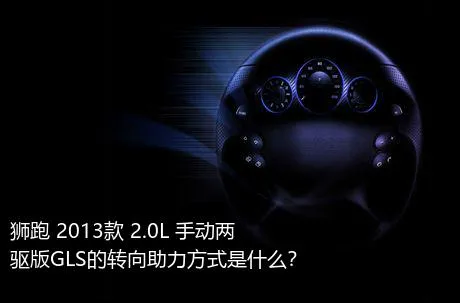 狮跑 2013款 2.0L 手动两驱版GLS的转向助力方式是什么？