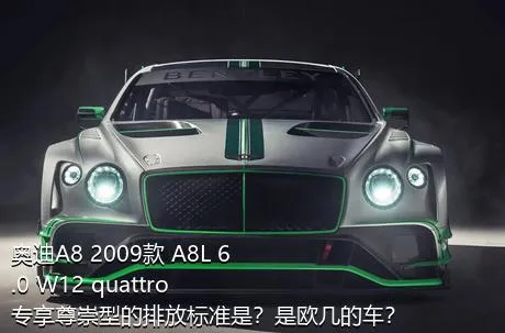 奥迪A8 2009款 A8L 6.0 W12 quattro 专享尊崇型的排放标准是？是欧几的车？