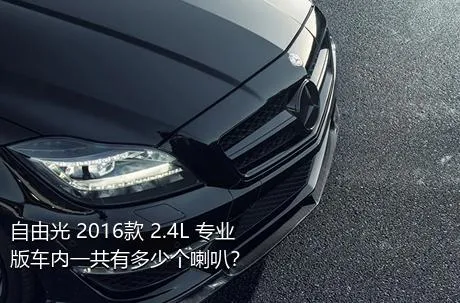 自由光 2016款 2.4L 专业版车内一共有多少个喇叭？