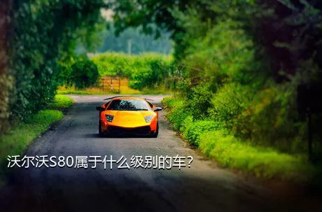 沃尔沃S80属于什么级别的车？