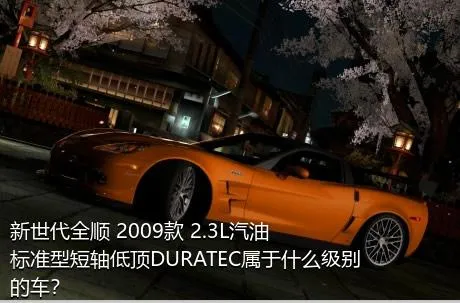 新世代全顺 2009款 2.3L汽油标准型短轴低顶DURATEC属于什么级别的车？