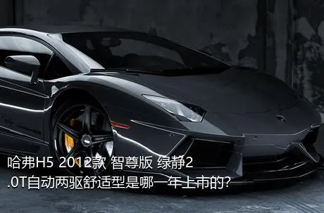 哈弗H5 2012款 智尊版 绿静2.0T自动两驱舒适型是哪一年上市的？