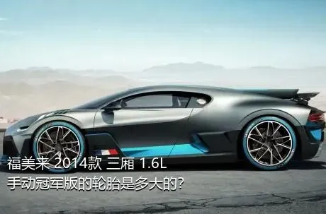 福美来 2014款 三厢 1.6L 手动冠军版的轮胎是多大的？