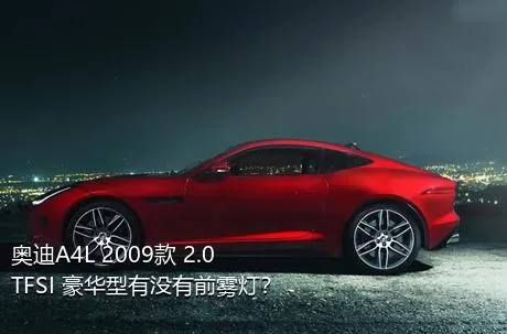 奥迪A4L 2009款 2.0 TFSI 豪华型有没有前雾灯？