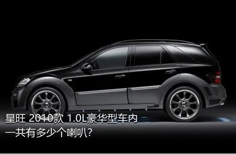 星旺 2010款 1.0L豪华型车内一共有多少个喇叭？