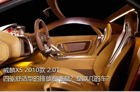 威麟X5 2010款 2.0T 四驱舒适型的排放标准是？是欧几的车？