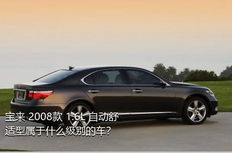 宝来 2008款 1.6L 自动舒适型属于什么级别的车？