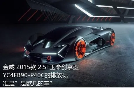 金威 2015款 2.5T玉柴创享型YC4FB90-P40C的排放标准是？是欧几的车？