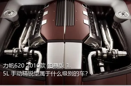 力帆620 2010款 铂尊版 1.5L 手动精锐型属于什么级别的车？