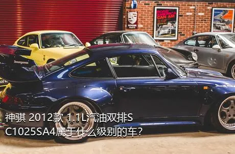 神骐 2012款 1.1L汽油双排SC1025SA4属于什么级别的车？