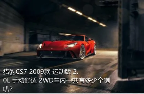 猎豹CS7 2009款 运动版 2.0L 手动舒适 2WD车内一共有多少个喇叭？