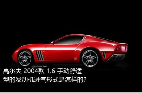 高尔夫 2004款 1.6 手动舒适型的发动机进气形式是怎样的？