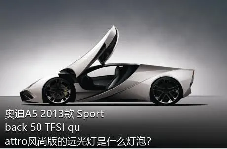 奥迪A5 2013款 Sportback 50 TFSI quattro风尚版的远光灯是什么灯泡？