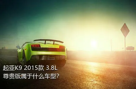 起亚K9 2015款 3.8L 尊贵版属于什么车型？