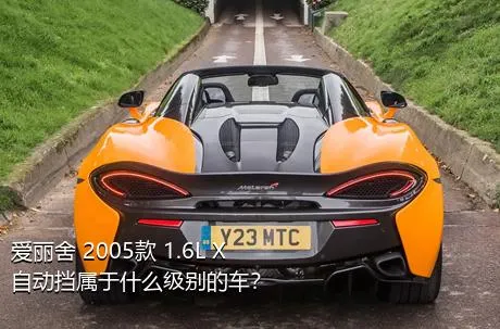 爱丽舍 2005款 1.6L X自动挡属于什么级别的车？