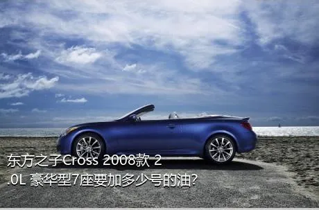 东方之子Cross 2008款 2.0L 豪华型7座要加多少号的油？