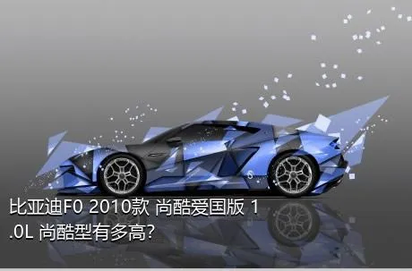 比亚迪F0 2010款 尚酷爱国版 1.0L 尚酷型有多高？