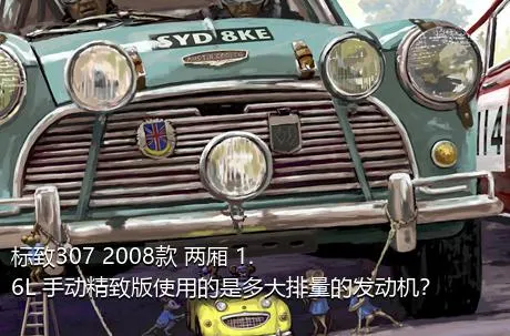 标致307 2008款 两厢 1.6L 手动精致版使用的是多大排量的发动机？