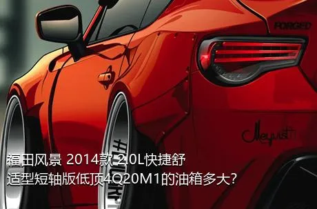 福田风景 2014款 2.0L快捷舒适型短轴版低顶4Q20M1的油箱多大？