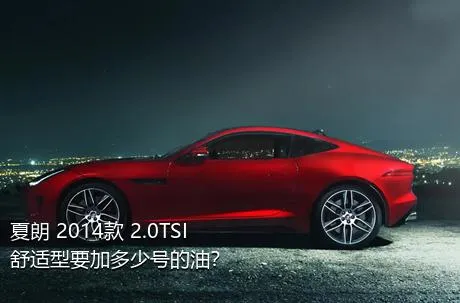 夏朗 2014款 2.0TSI 舒适型要加多少号的油？