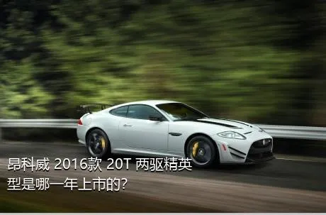 昂科威 2016款 20T 两驱精英型是哪一年上市的？