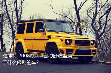 雅绅特 2008款 1.4自动舒适型属于什么级别的车？