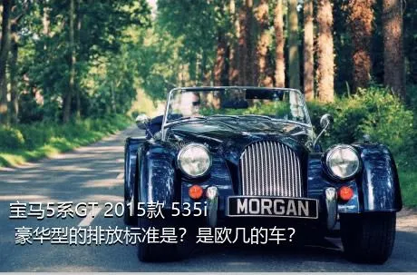 宝马5系GT 2015款 535i 豪华型的排放标准是？是欧几的车？