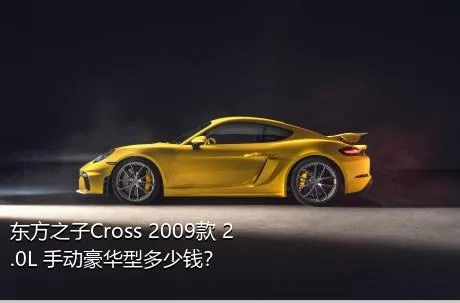 东方之子Cross 2009款 2.0L 手动豪华型多少钱？