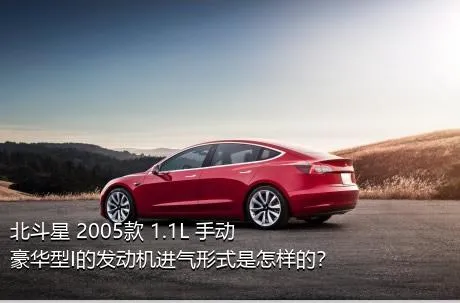 北斗星 2005款 1.1L 手动豪华型I的发动机进气形式是怎样的？