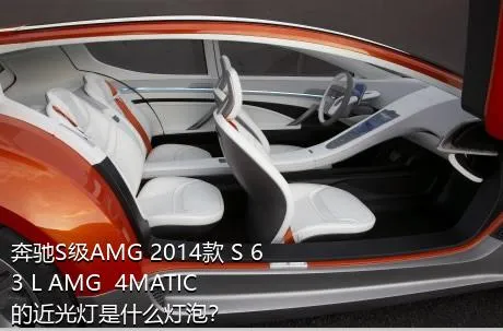 奔驰S级AMG 2014款 S 63 L AMG  4MATIC的近光灯是什么灯泡？