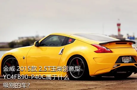 金威 2015款 2.5T玉柴创意型YC4FB90-P40C属于什么级别的车？