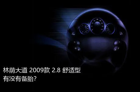 林荫大道 2009款 2.8 舒适型有没有备胎？