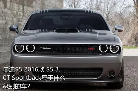 奥迪S5 2016款 S5 3.0T Sportback属于什么级别的车？