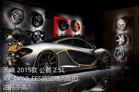 天籁 2015款 公爵 2.5L XV-NAVI-FES欧冠尊尚版的油耗多高？