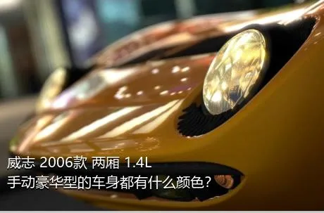 威志 2006款 两厢 1.4L 手动豪华型的车身都有什么颜色？