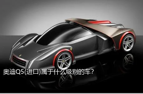 奥迪Q5(进口)属于什么级别的车？