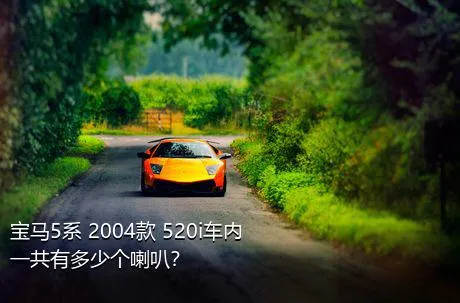 宝马5系 2004款 520i车内一共有多少个喇叭？