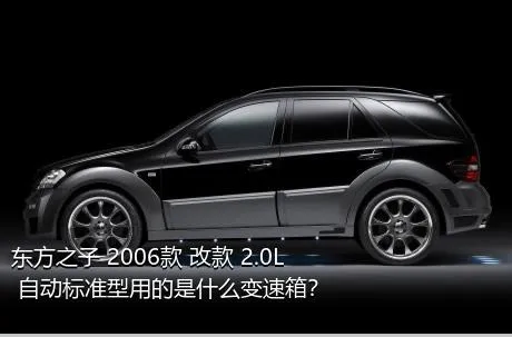 东方之子 2006款 改款 2.0L 自动标准型用的是什么变速箱？