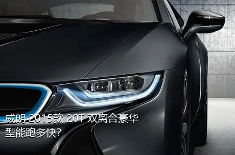 威朗 2015款 20T 双离合豪华型能跑多快？