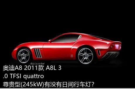 奥迪A8 2011款 A8L 3.0 TFSI quattro尊贵型(245kW)有没有日间行车灯？